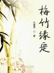 梅竹简历