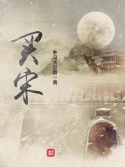 买宋max的十大忠告