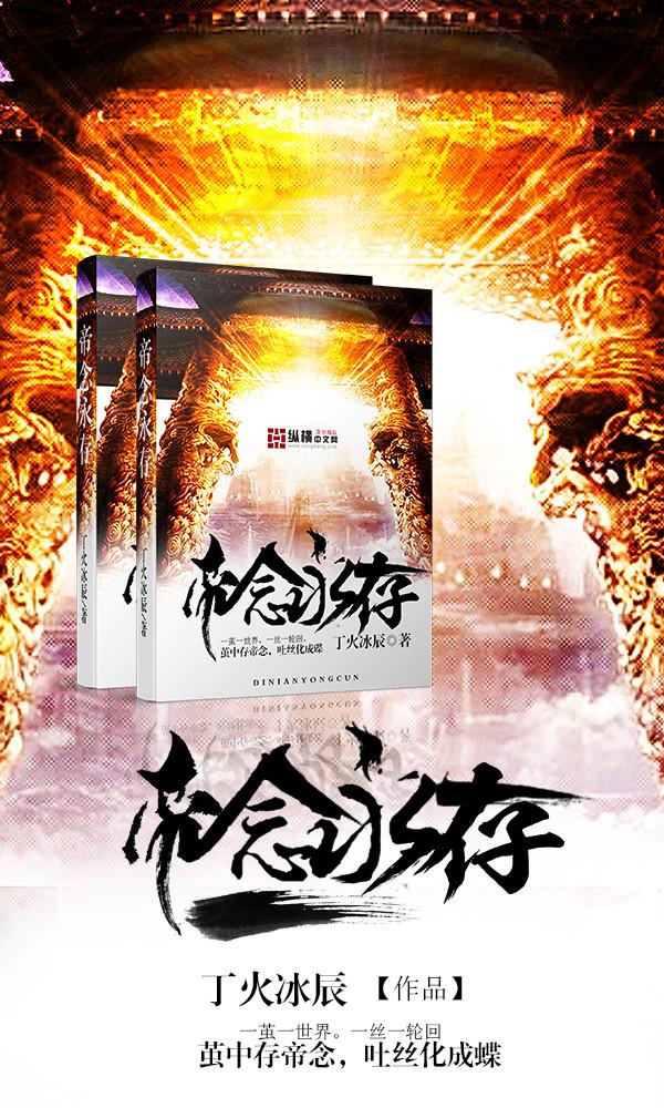 念帝视频