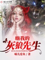 灰狼先生的武器