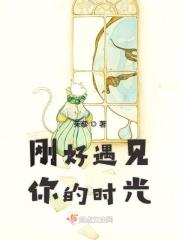 刚好遇见你的时光英文