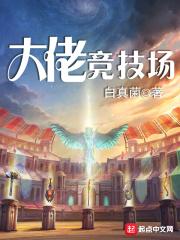大佬电竞