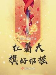扛起大旗表情包