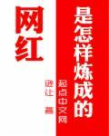 网红是怎么当上的
