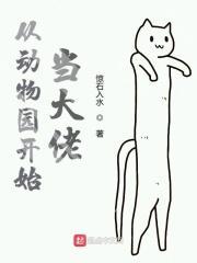 从动物开始签到女神