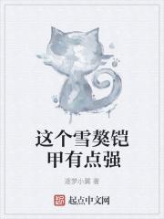 雪獒铠甲全身