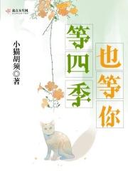 等到四季轮回这首歌是啥