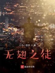 无翅飞翔电视剧