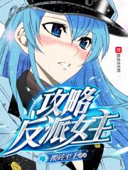 攻略反派女主书旗