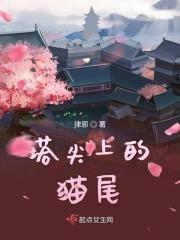 塔尖上的生活