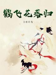 鹤归常带白云来