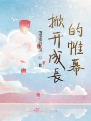 掀开帷幕是什么意思