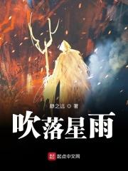 吹落星如雨是指的什么