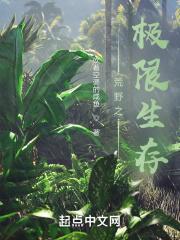 荒野求生之极限巨星