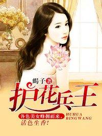 护花兵王叶凌风全集