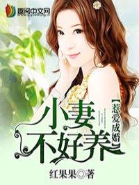 惹婚成爱大结局