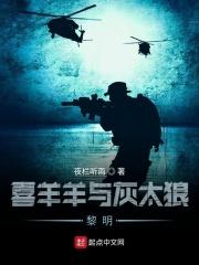 喜羊羊与灰太狼主题曲
