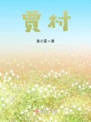 贾村新村房价