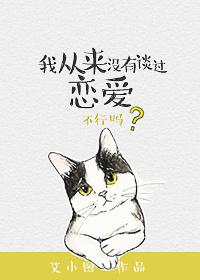 我从来没有谈过恋爱英文翻译