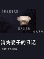 消失的妻子案