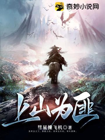 上山当土匪的电视剧
