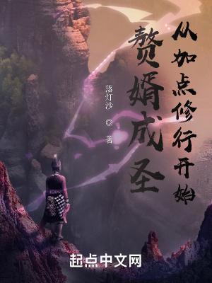 赘婿的成本