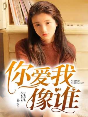 小宝与康熙主题曲你爱我像谁