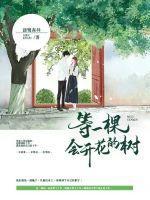 一棵会开花的树词