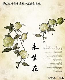 lesean永生花