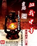 血战中华门