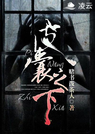 皮囊之下简介
