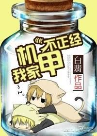 我家机甲不正经白翡百度