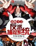 海贼王之反派大将