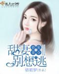 霸宠甜甜妻大结局