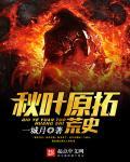 秋叶原之旅挑战师父