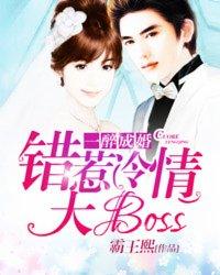 一醉成婚错惹冷情大boss