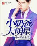 奶爸大明星笔趣阁免费阅读作者十世执念