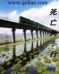 死亡列车真相