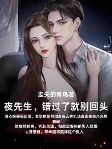 夜先生余生请多指教免费阅读无弹窗