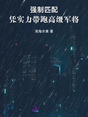 强制匹配都市 v1.0 破解版