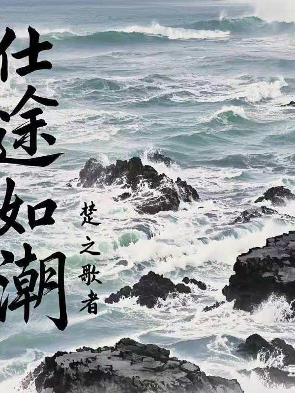 仕途的弄潮儿大结局