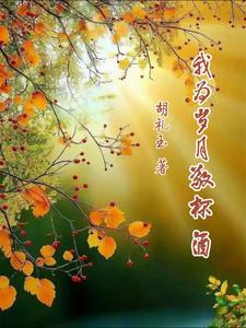 歌曲我敬岁月一杯酒