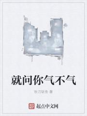 就问你气不气 电子书