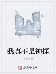 我真不是神探求