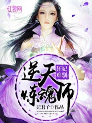 逆天魂师全集梦入珠玑