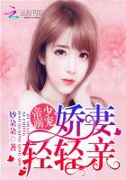 祁少老婆婆拆家了无修减