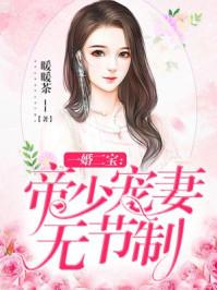 一婚二宝帝少宠妻无节制全文