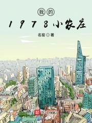 我的1978小农庄笔