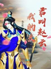 夫君赵云(穿越三国系列1)