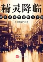 漆黑魅影5.0精灵进化表